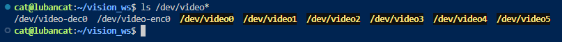 video_dev.png
